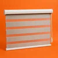 Zebra Blinds (Day & Night)