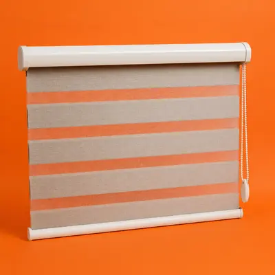 Zebra Blinds (Day & Night)