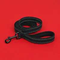 Leashes
