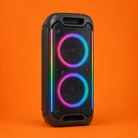 Party Speakers