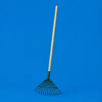 Rakes