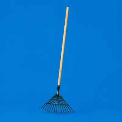 Rakes