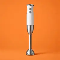 Hand Blenders (Immersion)