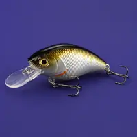 Lures & Hooks
