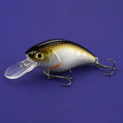 Lures & Hooks
