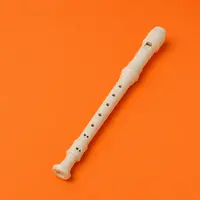 Recorders / Flutes