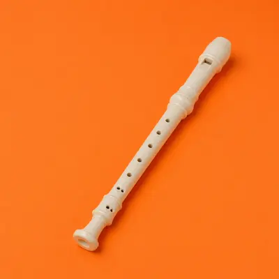 Recorders / Flutes