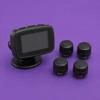Tire Pressure Monitoring Systems (TPMS)