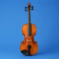String Instruments