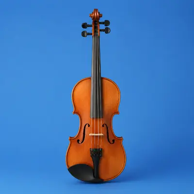 String Instruments