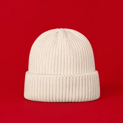 Winter Beanies