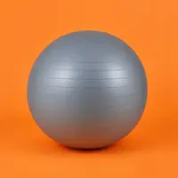 Exercise Balls (Swiss Ball)