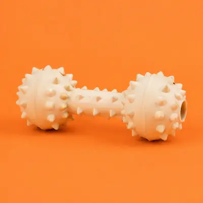 Dog Toys