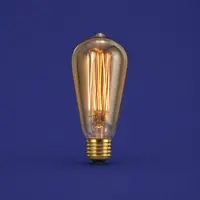 Edison Filament Bulbs