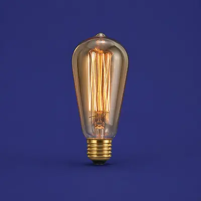 Edison Filament Bulbs