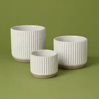 Ghivece decorative