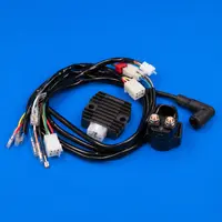 Motorcycle Electrical & Electronics