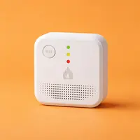 Gas Sensors