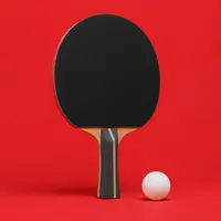 Tenis de masă