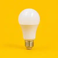 Bulbs & Light Sources