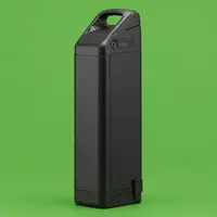 Electric Bike Batteries