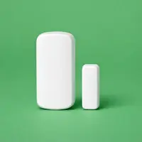 Door / Window Sensors