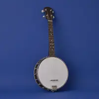 Mandolins / Banjos