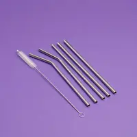Reusable Straws (Steel, Bamboo)