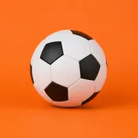 Fotbal