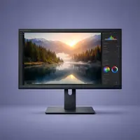 Professional Monitors