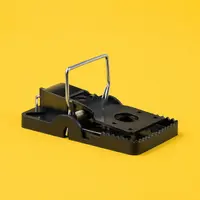 Mouse / Rodent Traps