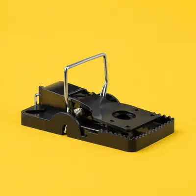 Mouse / Rodent Traps