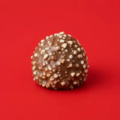 Chocolate Candies / Pralines