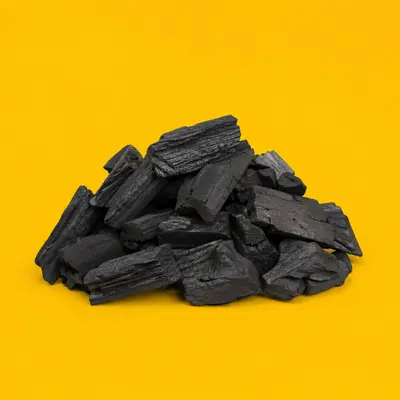 BBQ Fuel