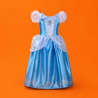 Princess / Superhero Costumes