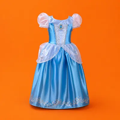 Princess / Superhero Costumes