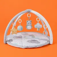 Play Gyms / Activity Mats