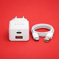 Fast Chargers