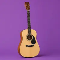 Acoustic Guitars