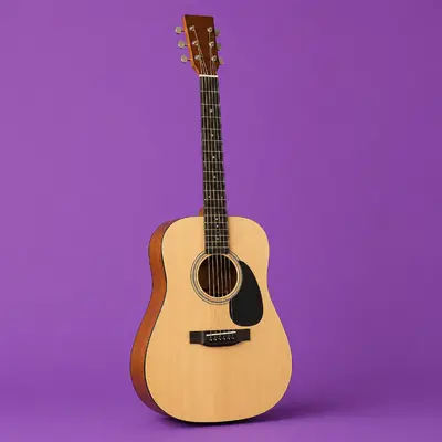 Acoustic Guitars