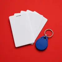 Access Cards & RFID Chips
