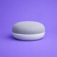 Voice Assistants (Alexa, Google Home)