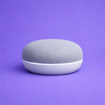 Voice Assistants (Alexa, Google Home)