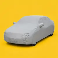 Автомобильные чехлы