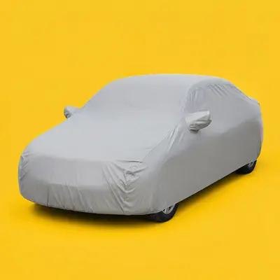Автомобильные чехлы