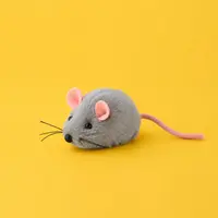 Balls / Toy Mice