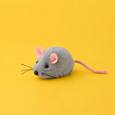 Balls / Toy Mice