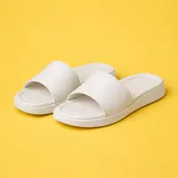 Flip-Flops & Slides