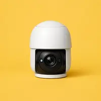 PTZ Cameras