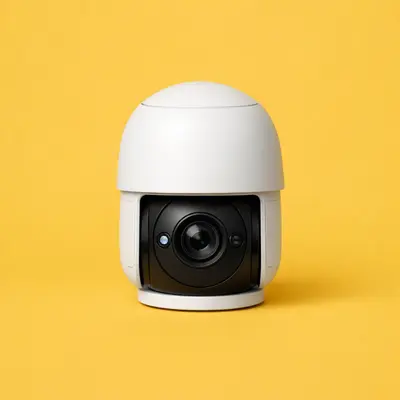 PTZ Cameras